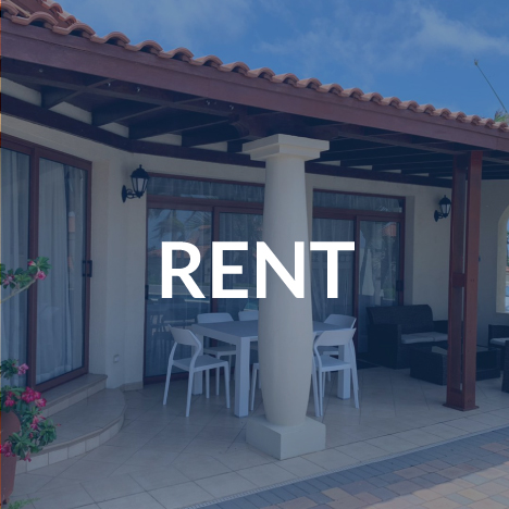 PALMETO-SERVICES-06